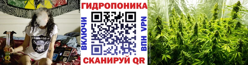 APVP Дальнереченск