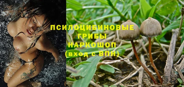 меф Горно-Алтайск