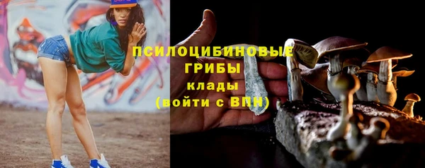 мдпв Горнозаводск