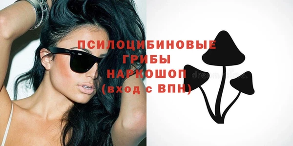 мдпв Горнозаводск