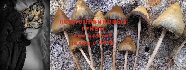 спиды Горняк