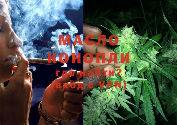 спиды Горняк