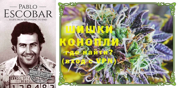 спиды Горняк