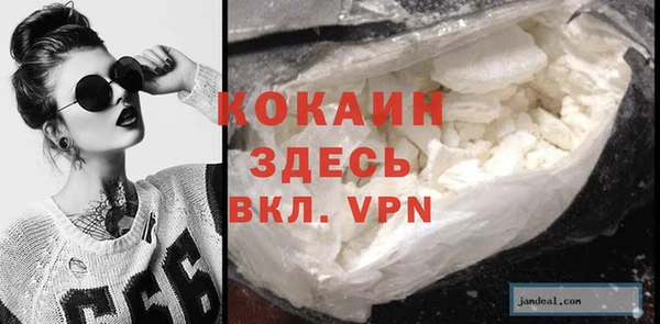мдпв Горнозаводск
