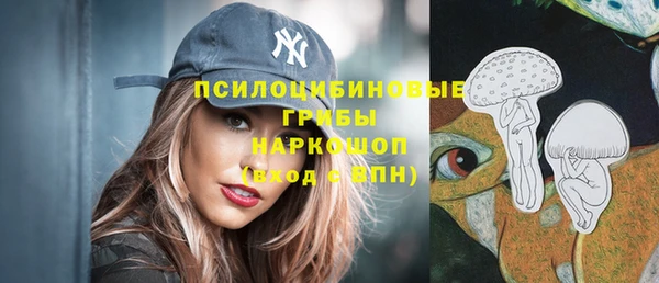 спиды Горняк