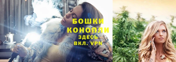 мдпв Горнозаводск