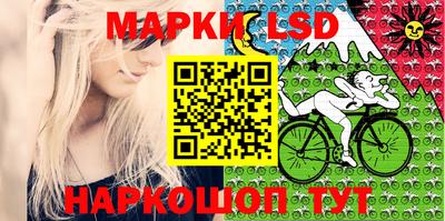 дурь Берёзовский