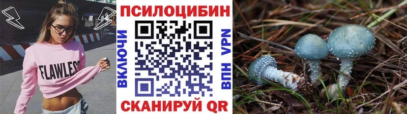 маркетплейс официальный сайт  Дальнереченск  Галлюциногенные грибы Psilocybine cubensis 
