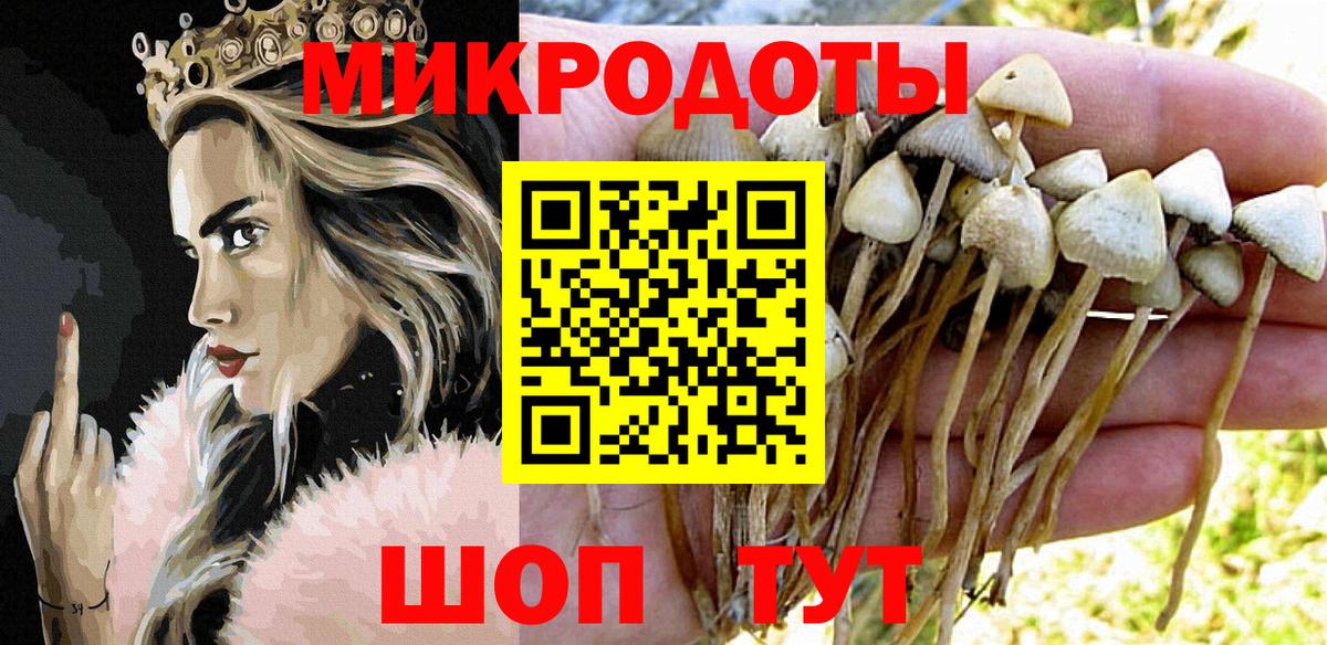 Дальнереченск  Псилоцибиновые грибы Cubensis  Вход с VPN 
